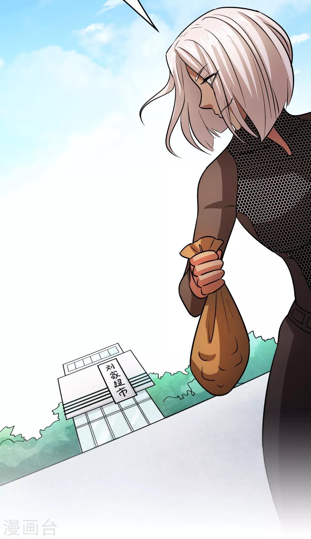 第85话 神功已成