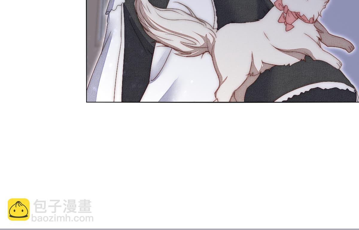 第41话：您不是对猫过敏吗？