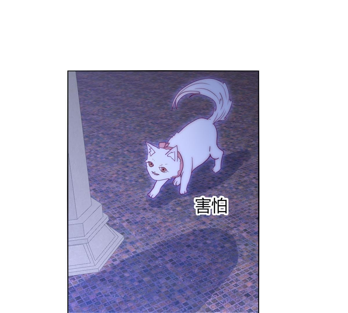 第41话：您不是对猫过敏吗？