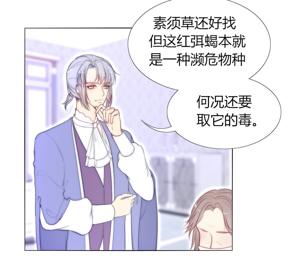 第65话：名叫“莱法瑞尔”