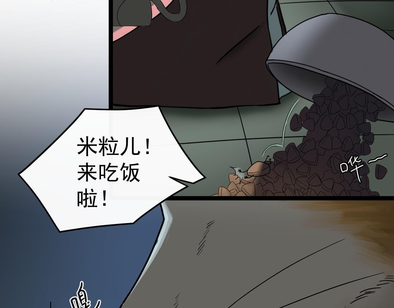 猫粮逃杀记