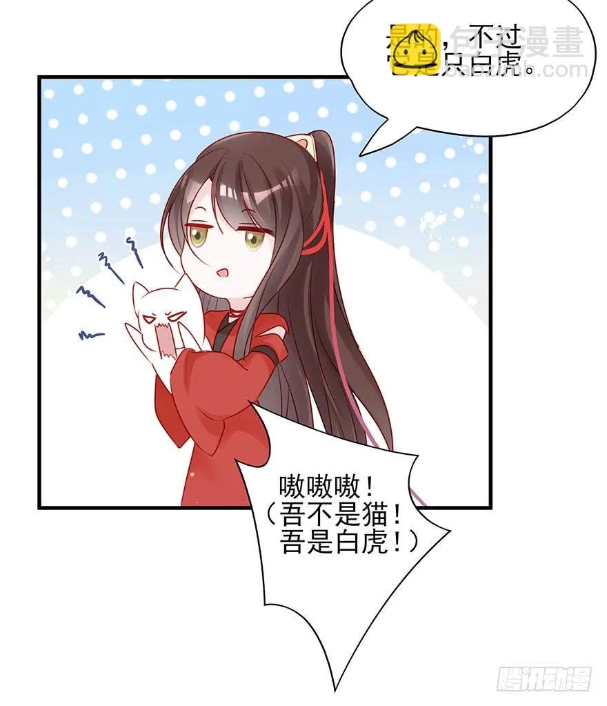 美丽南笙，在线怼人