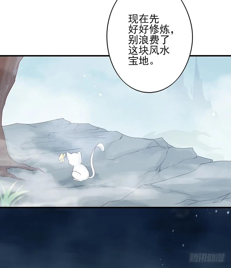 收徒吗？比你大好几百岁的那种