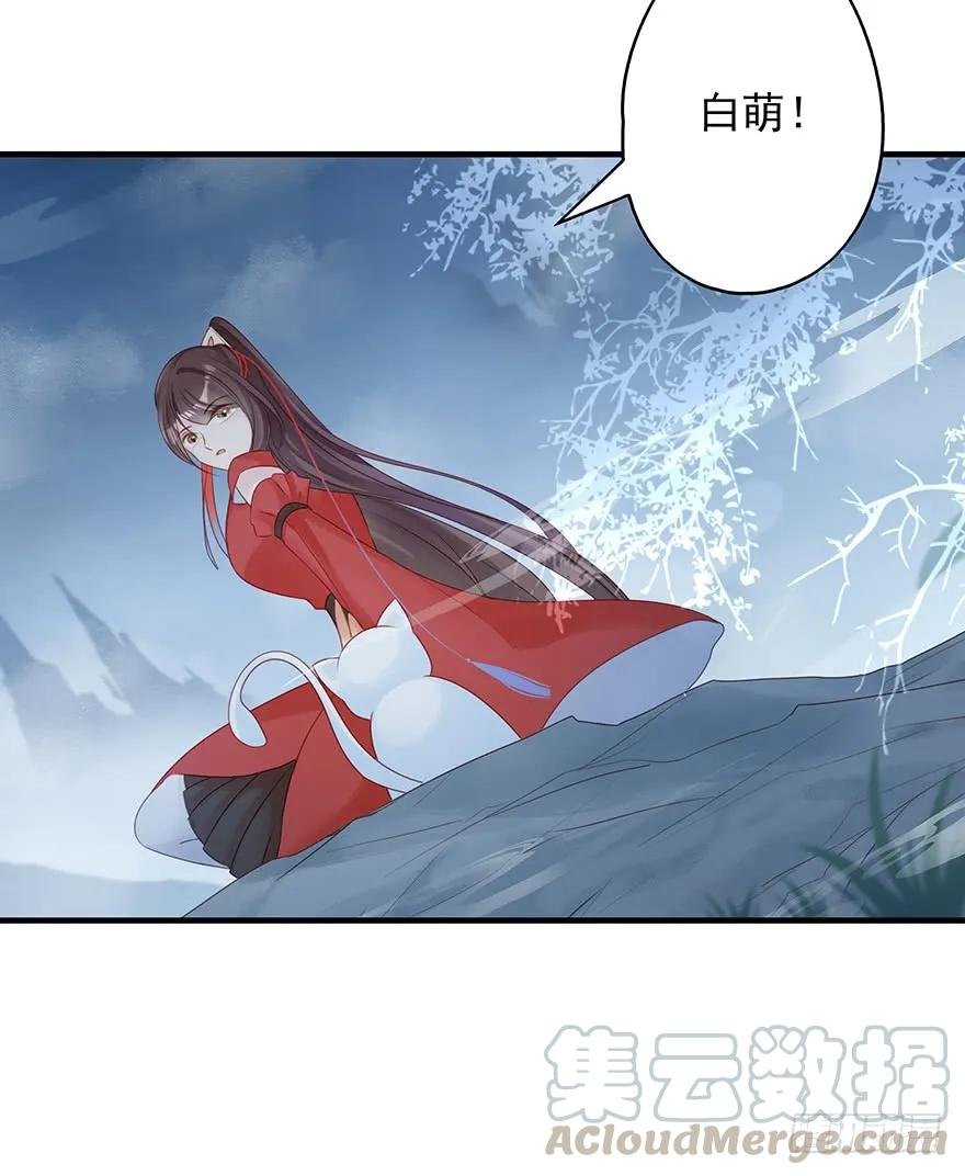 收徒吗？比你大好几百岁的那种