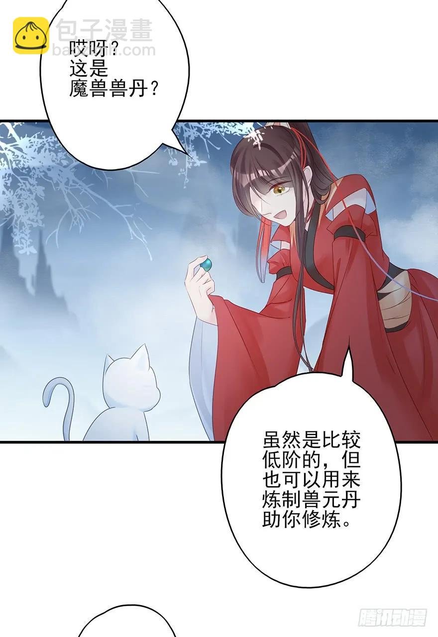 收徒吗？比你大好几百岁的那种