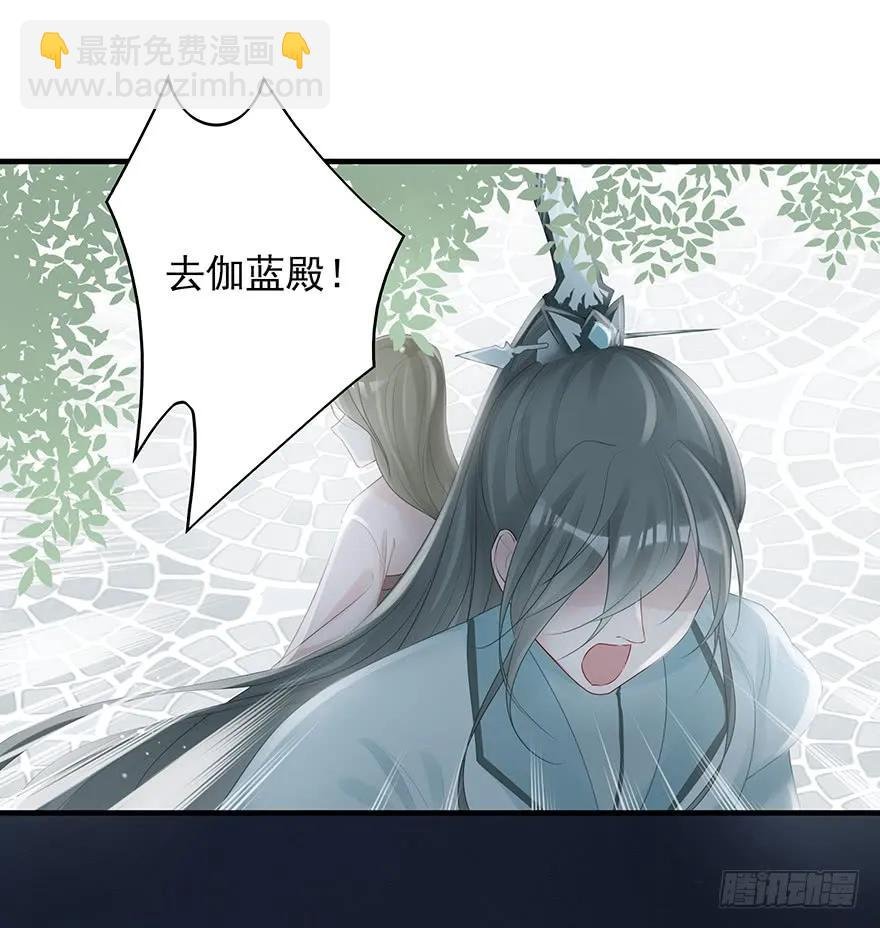 绝美国师，在线吸血