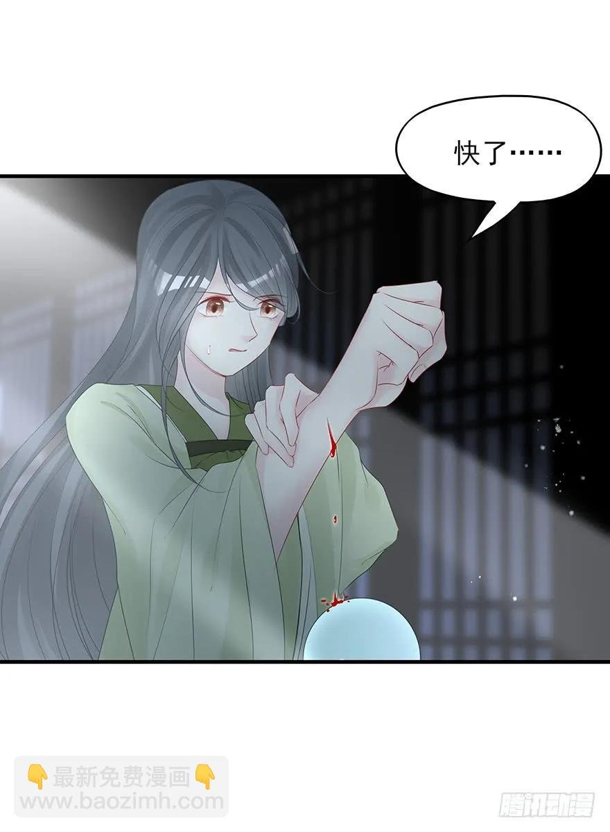 绝美国师，在线吸血