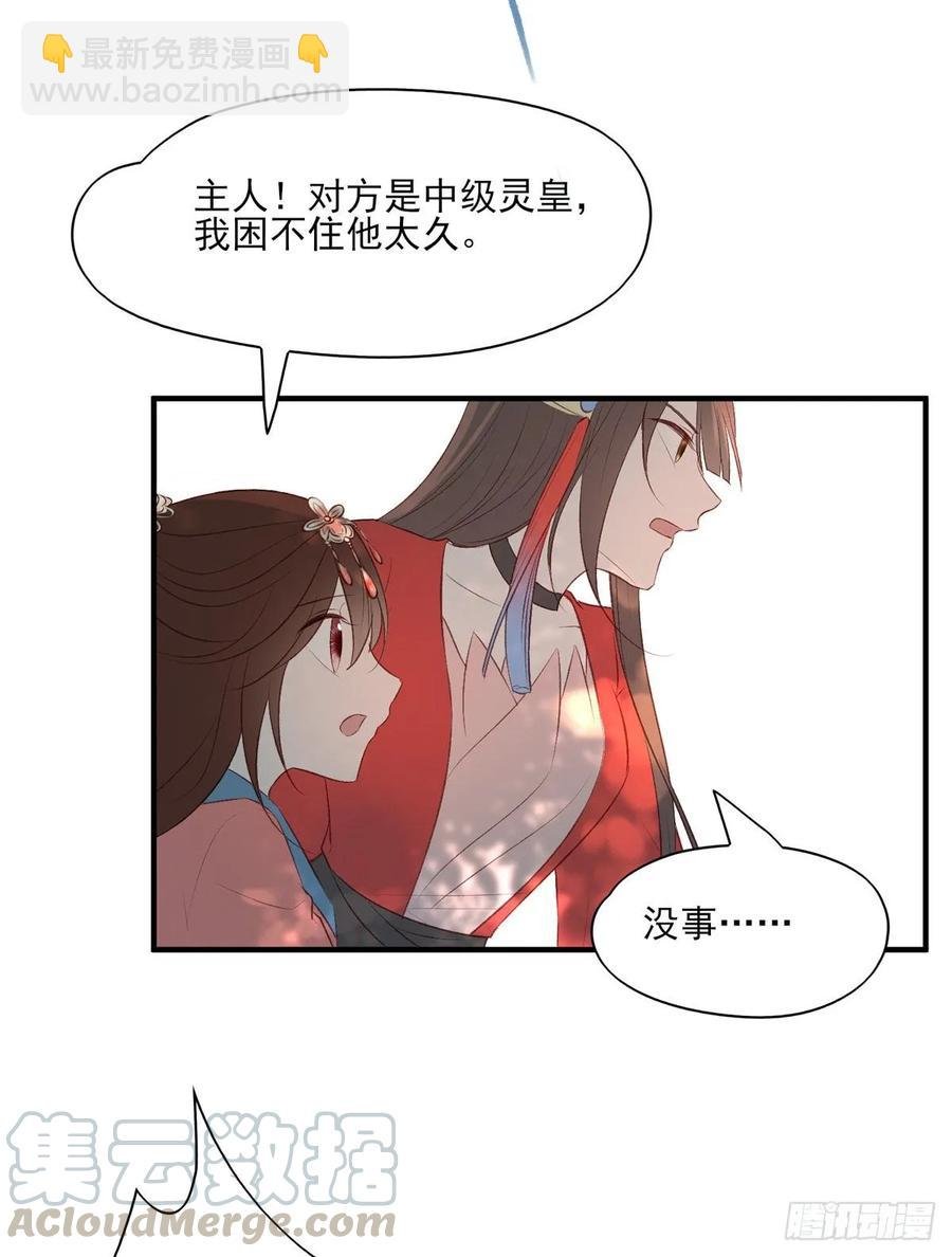 撕婊狂魔凤天澜