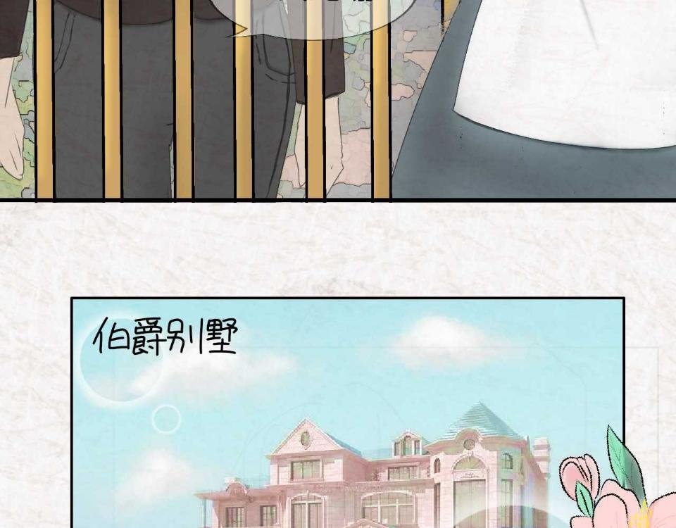 小说家