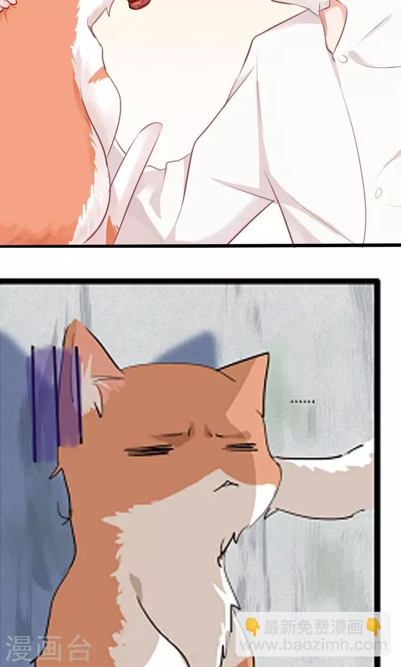 预告