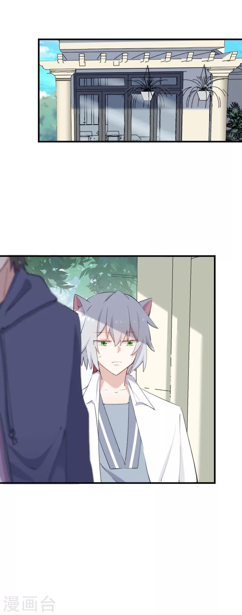 第104话 猫身上的秘密