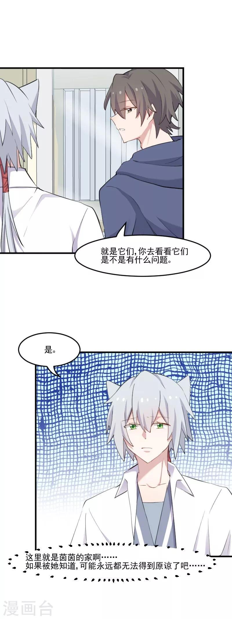 第104话 猫身上的秘密