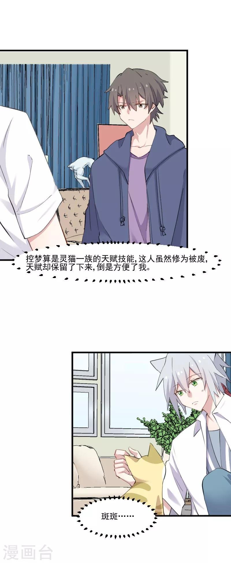 第104话 猫身上的秘密