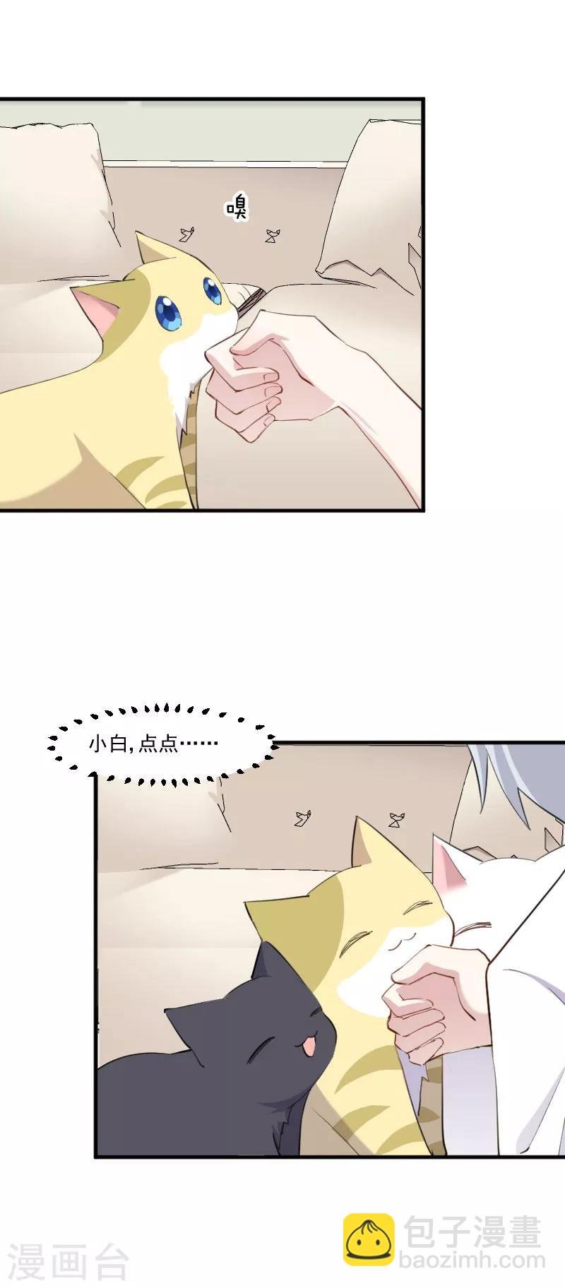 第104话 猫身上的秘密