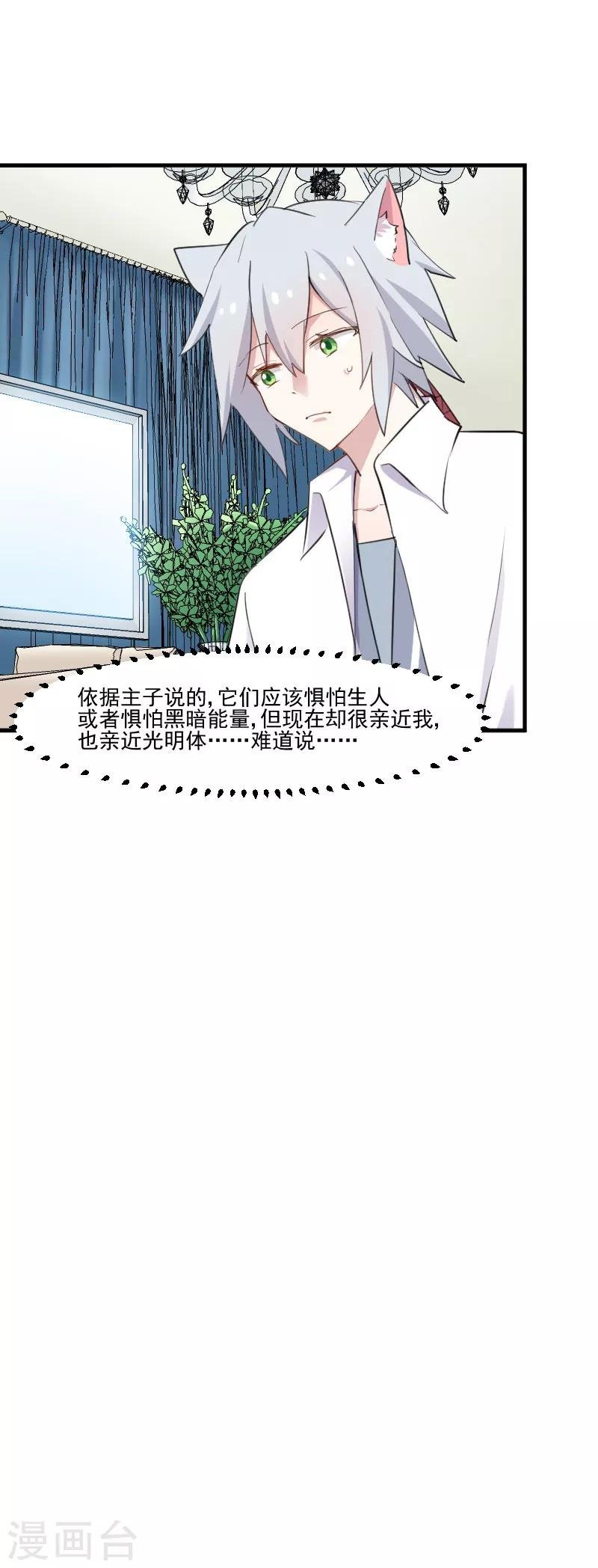 第104话 猫身上的秘密