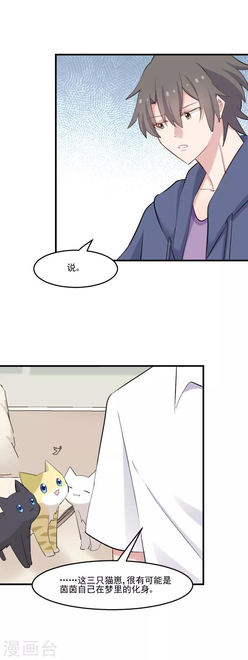 第104话 猫身上的秘密