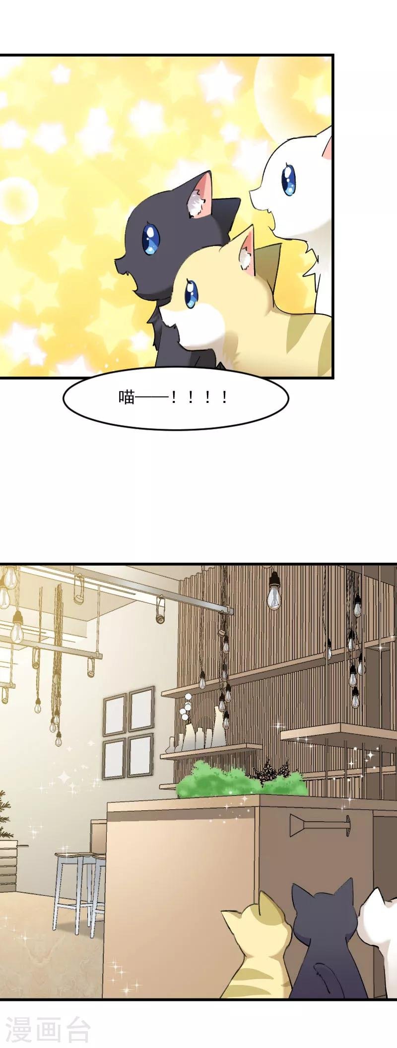 第120话 超豪华的猫屋！