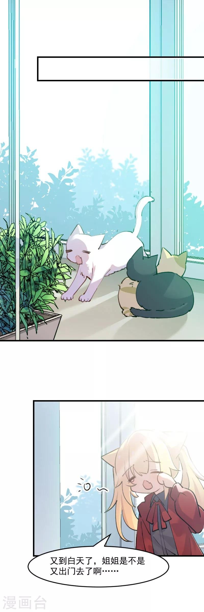 第124话 三只小猫的冒险章