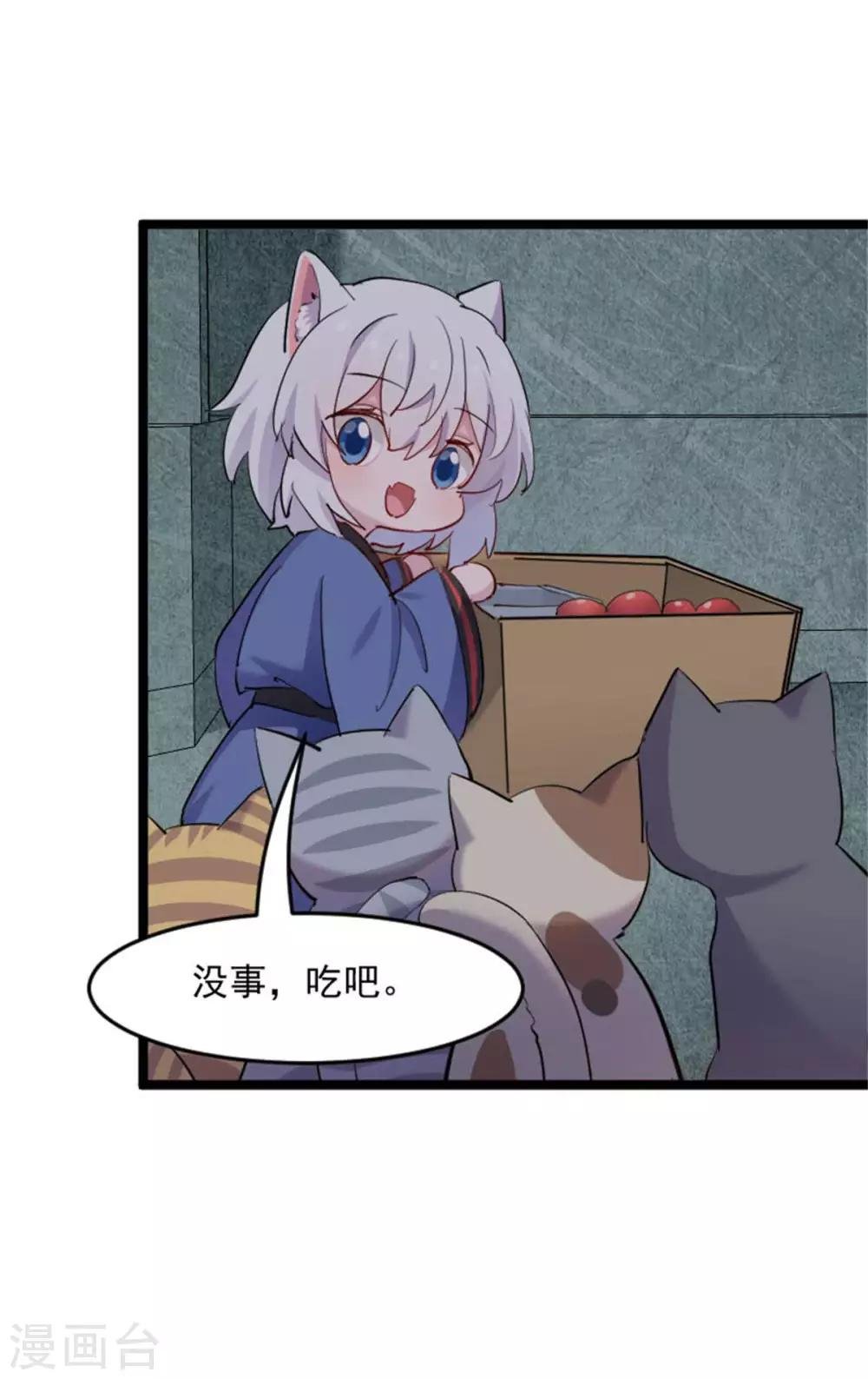 第157话 灵猫村的真相