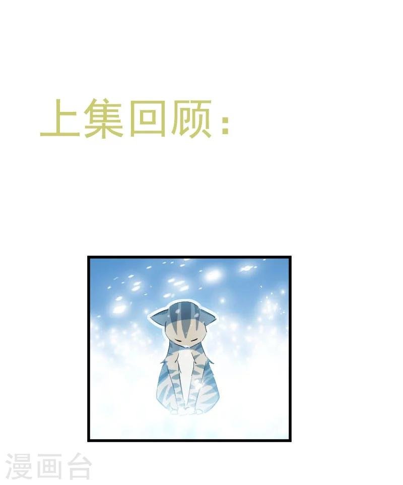 第17话 猫很活泼很健康