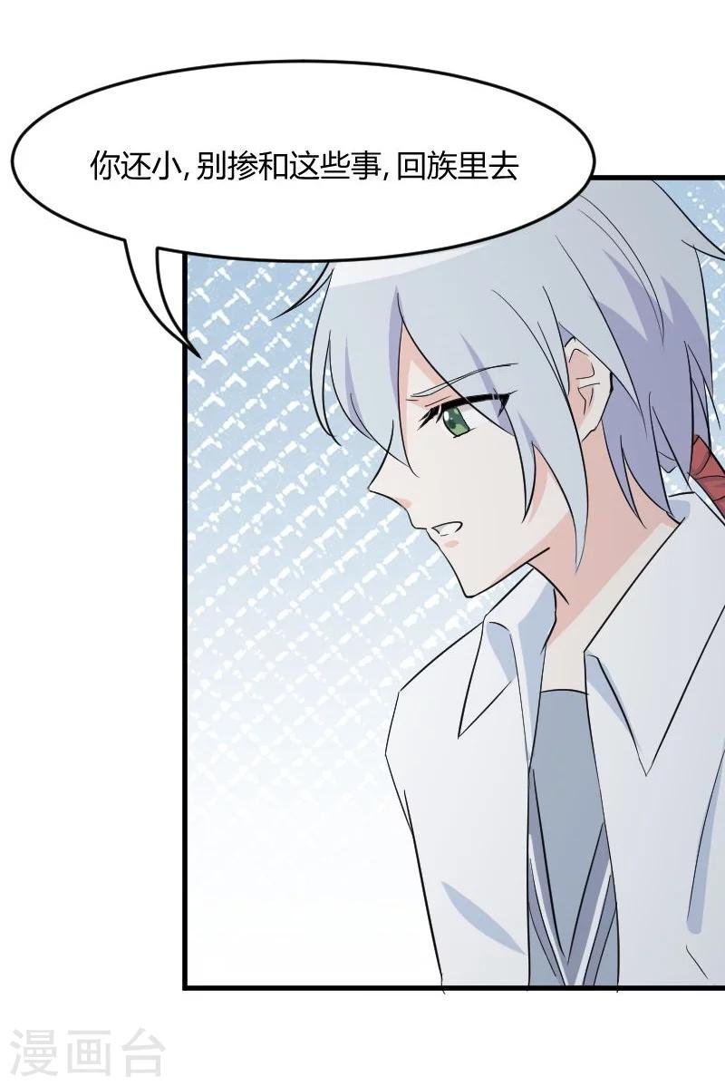 第17话 猫很活泼很健康
