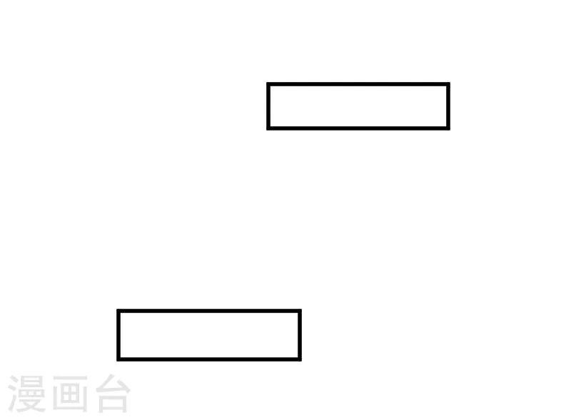 第17话 猫很活泼很健康