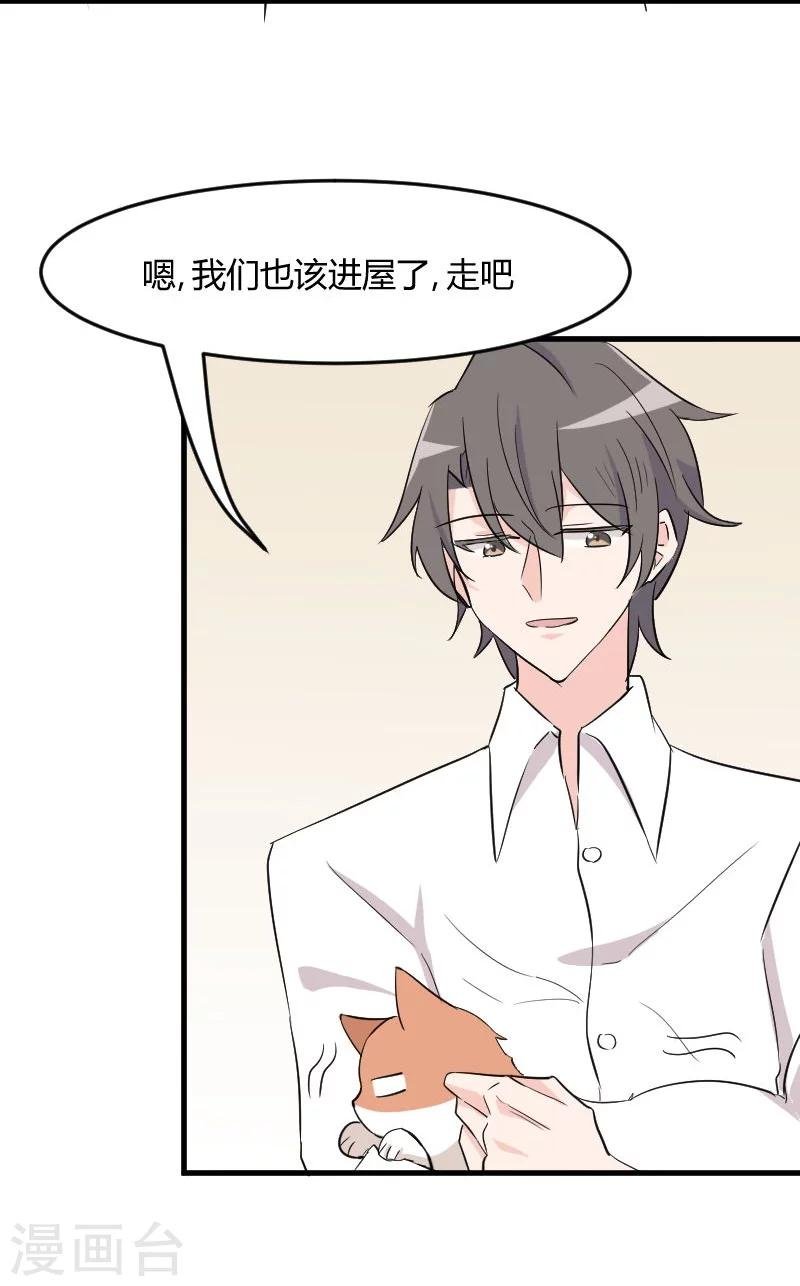 第17话 猫很活泼很健康