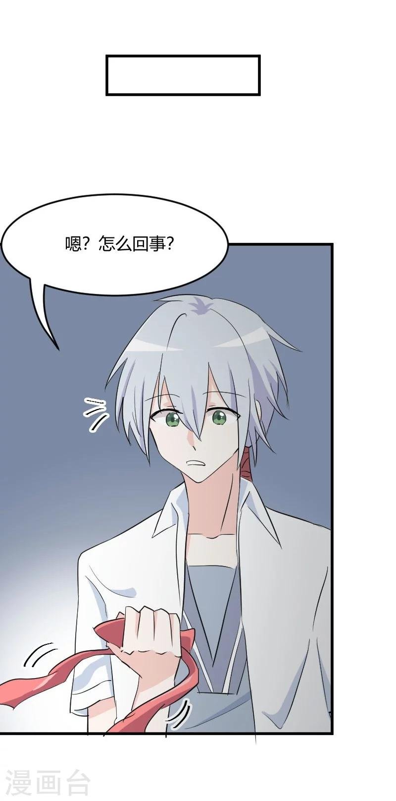 第17话 猫很活泼很健康