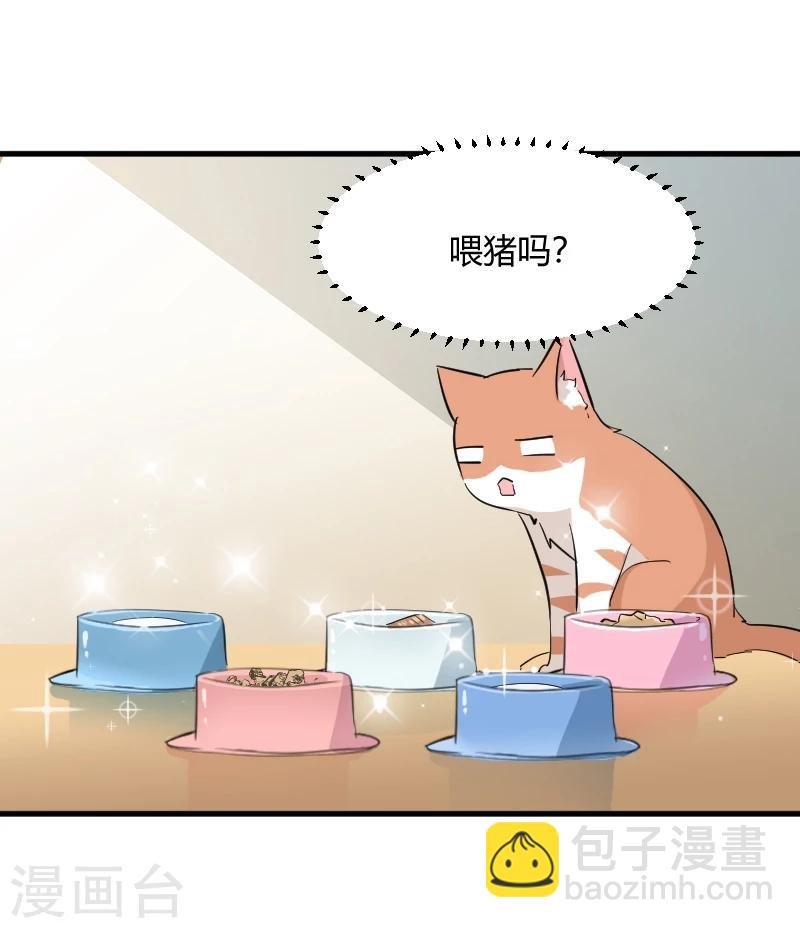 第18话 初见