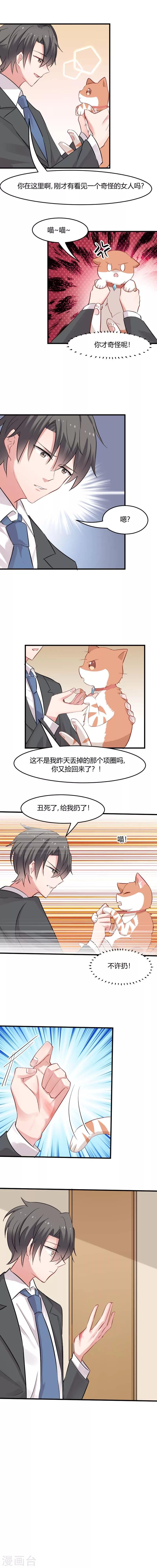 第22话 撸猫不成反被挠