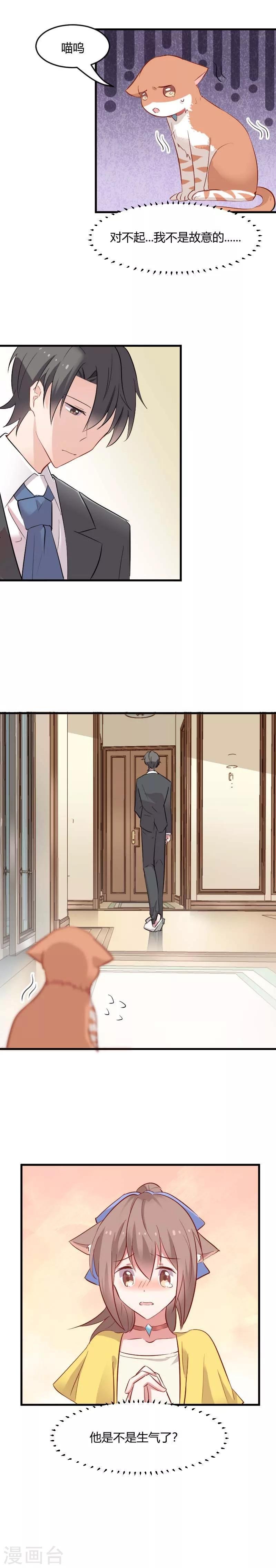 第22话 撸猫不成反被挠