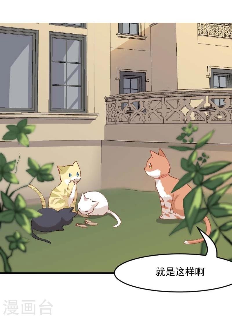 第23话 生气咯！？