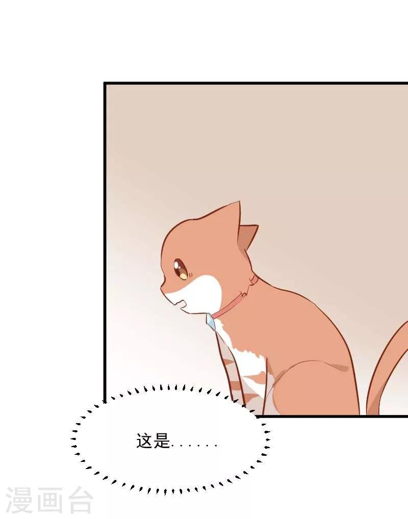 第24话 哇羞了！