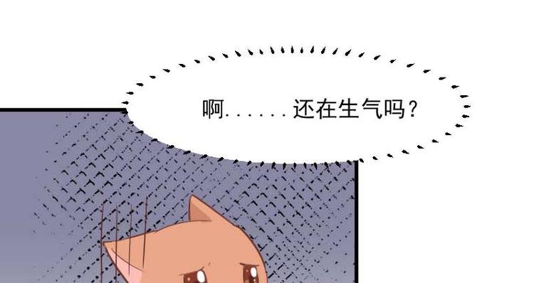 第24话 猫奴本奴了