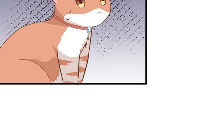 第24话 猫奴本奴了