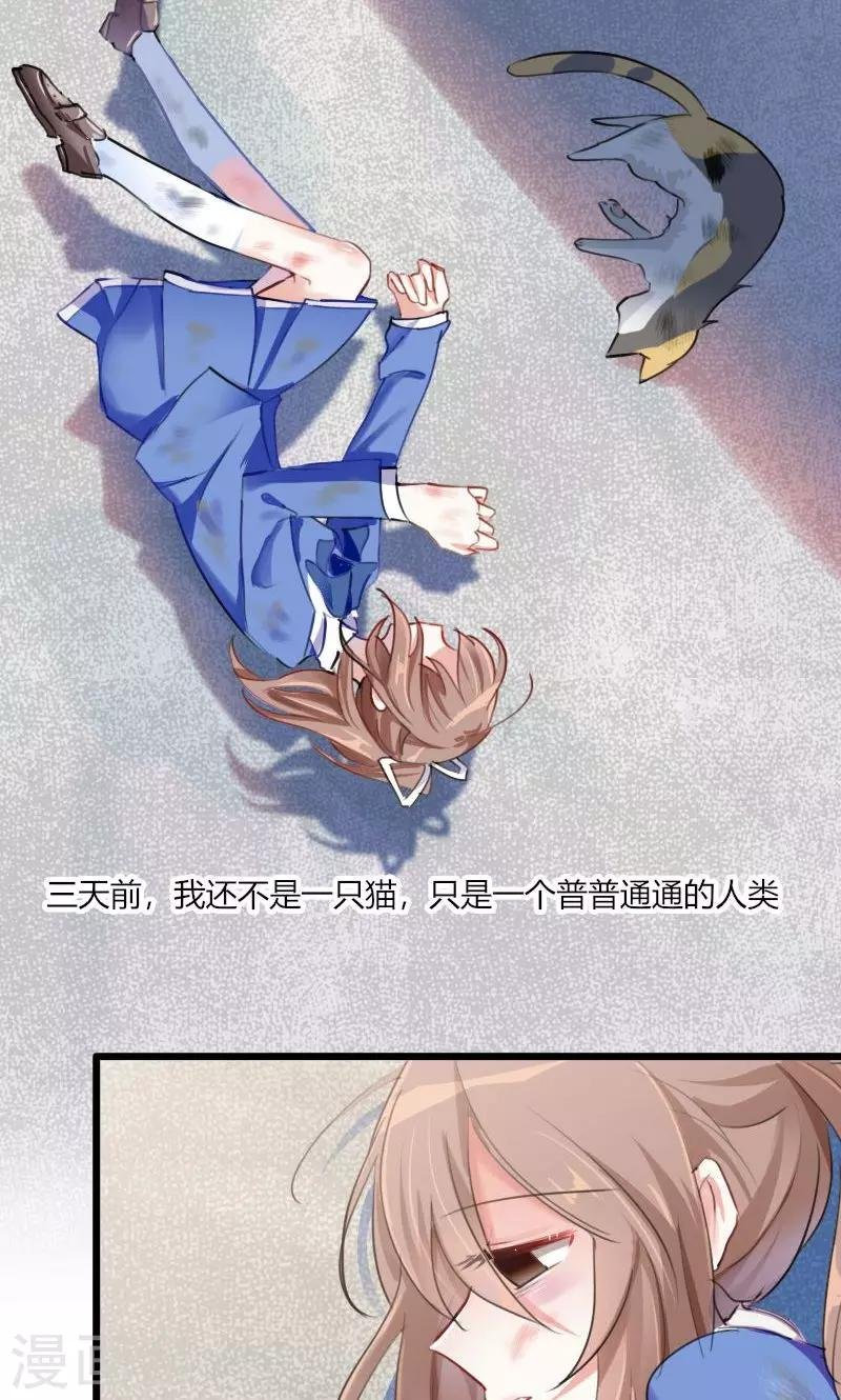 第2话 天降喵神？