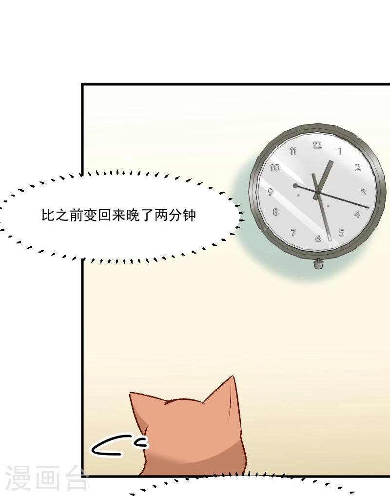 第36话 神石坏了？