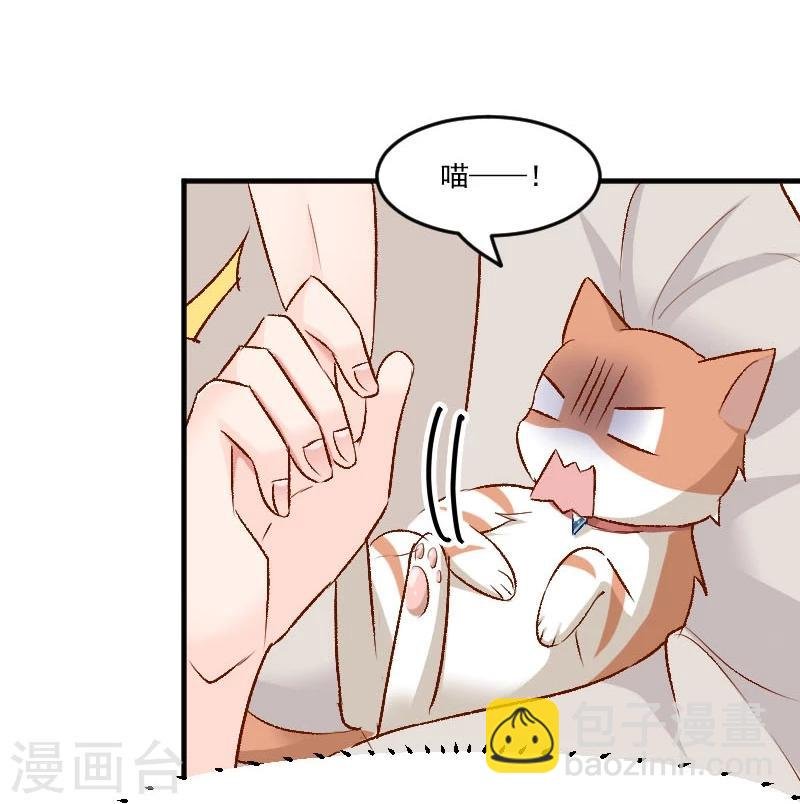 第36话 神石坏了？