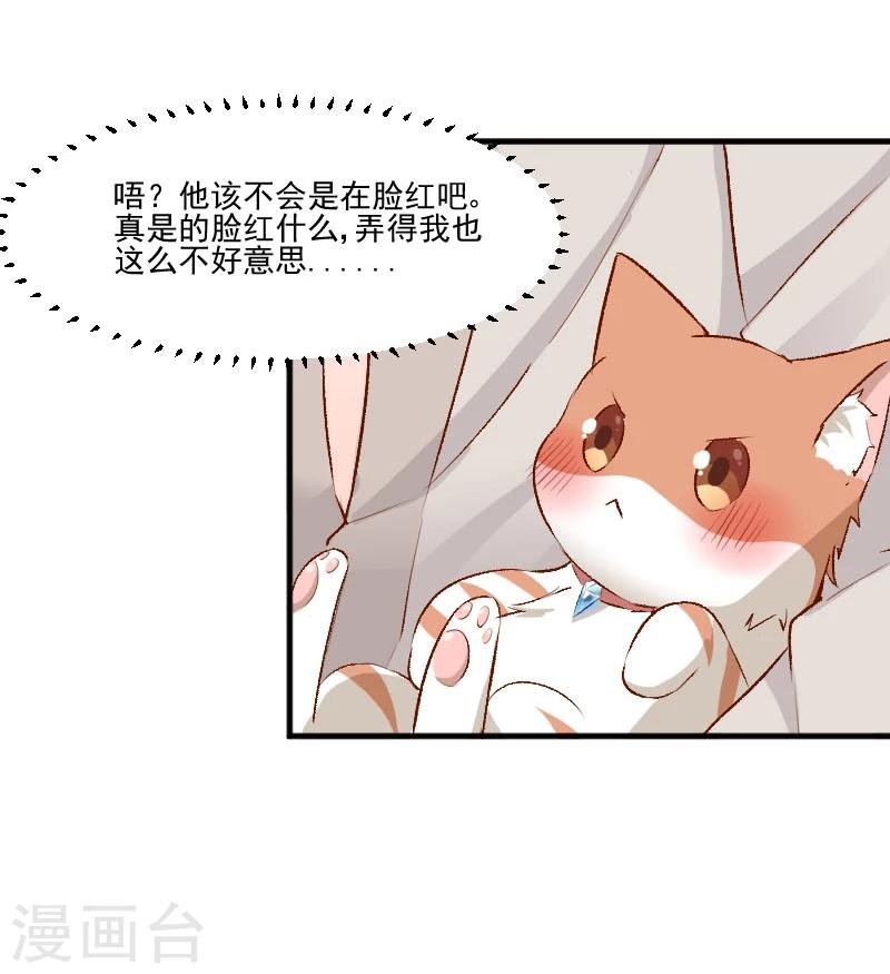 第36话 神石坏了？