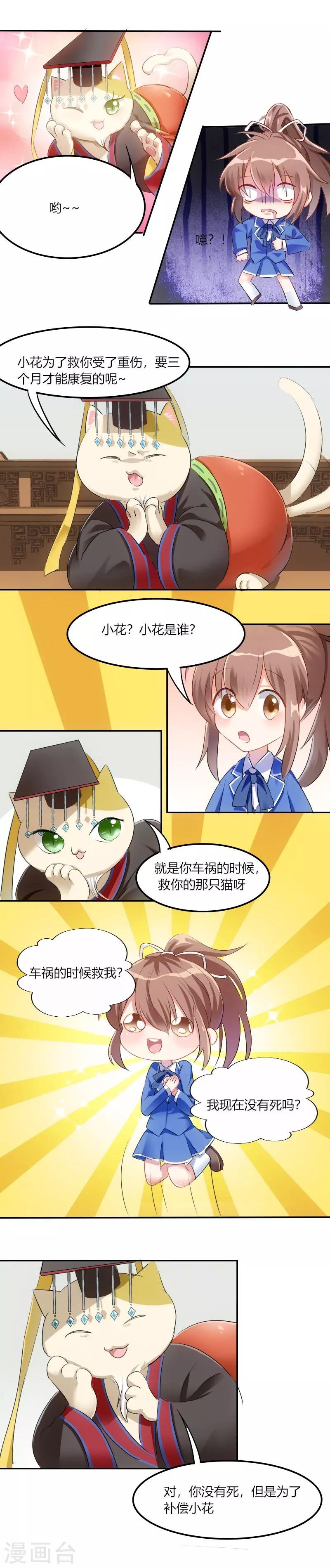 第3话 悲惨的喵生
