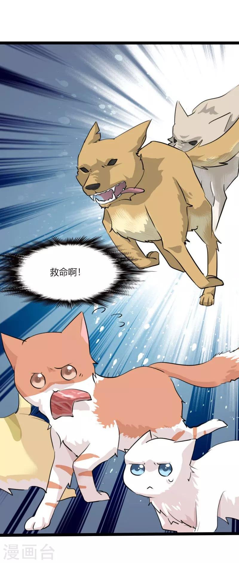 第3话 悲惨的喵生