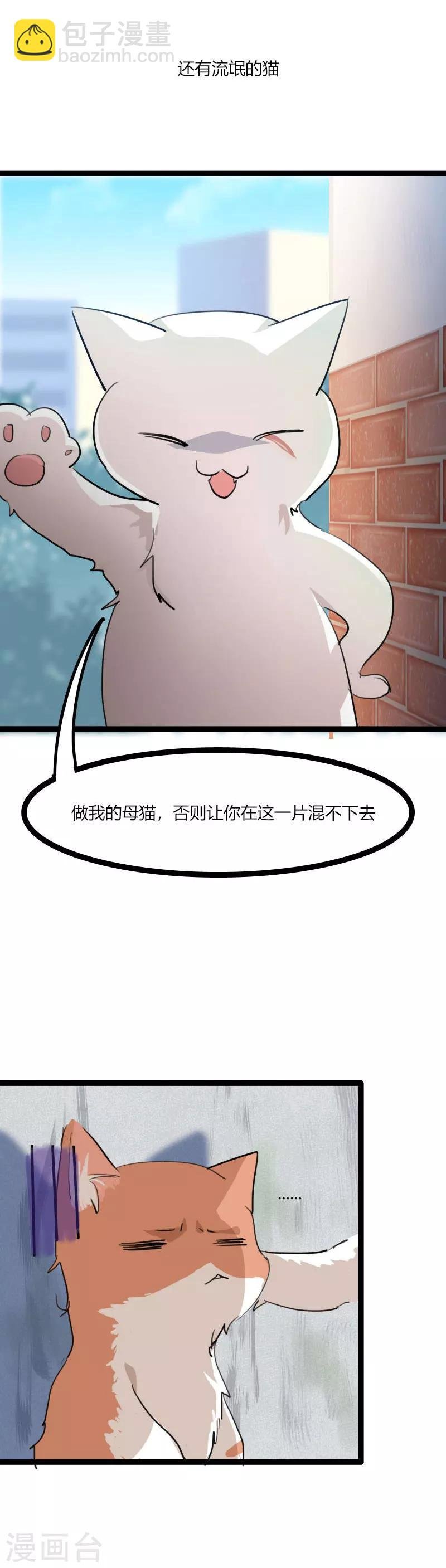 第3话 悲惨的喵生