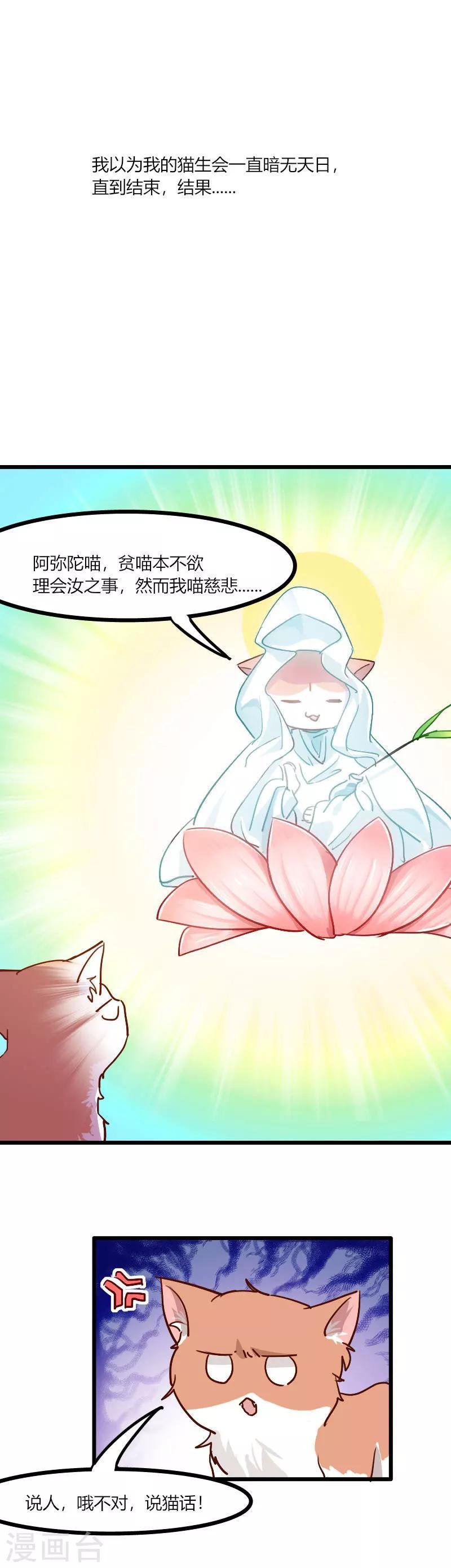 第3话 悲惨的喵生