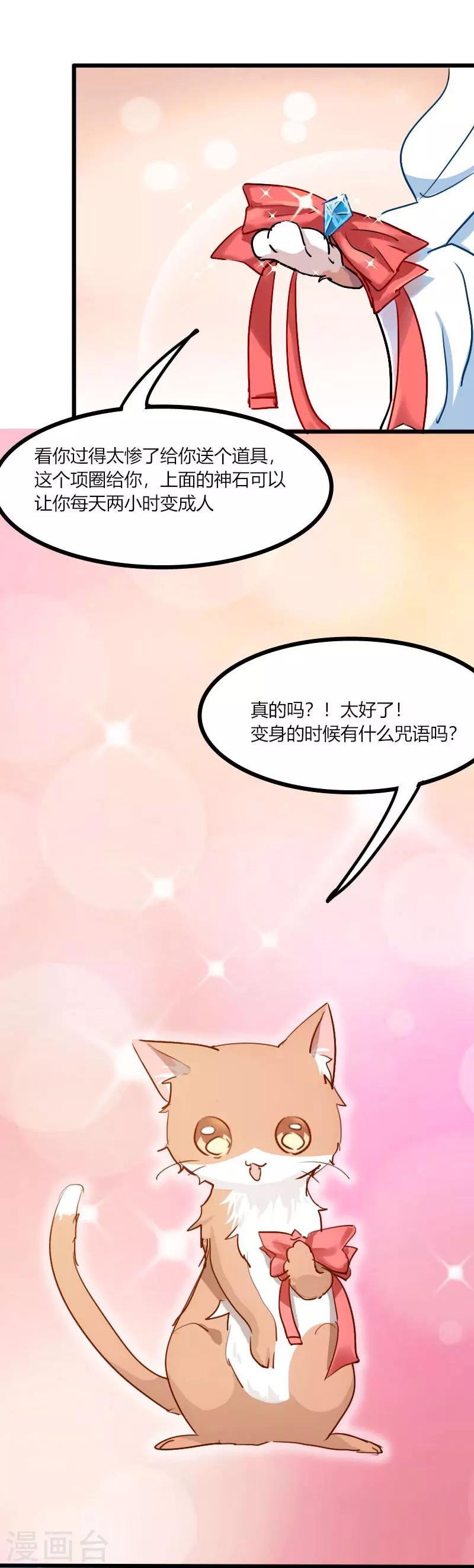 第3话 悲惨的喵生