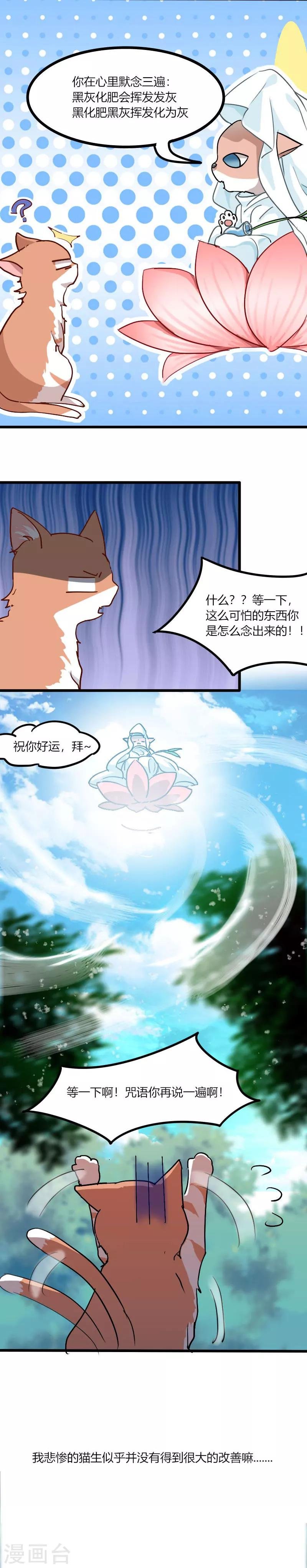 第3话 悲惨的喵生