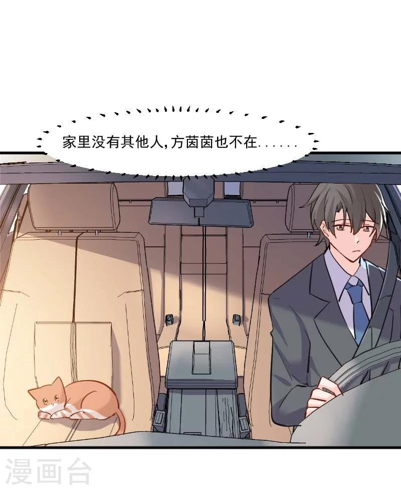 第39话 不许摸我的猫！