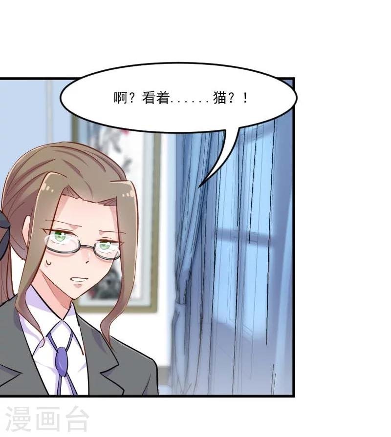 第39话 不许摸我的猫！