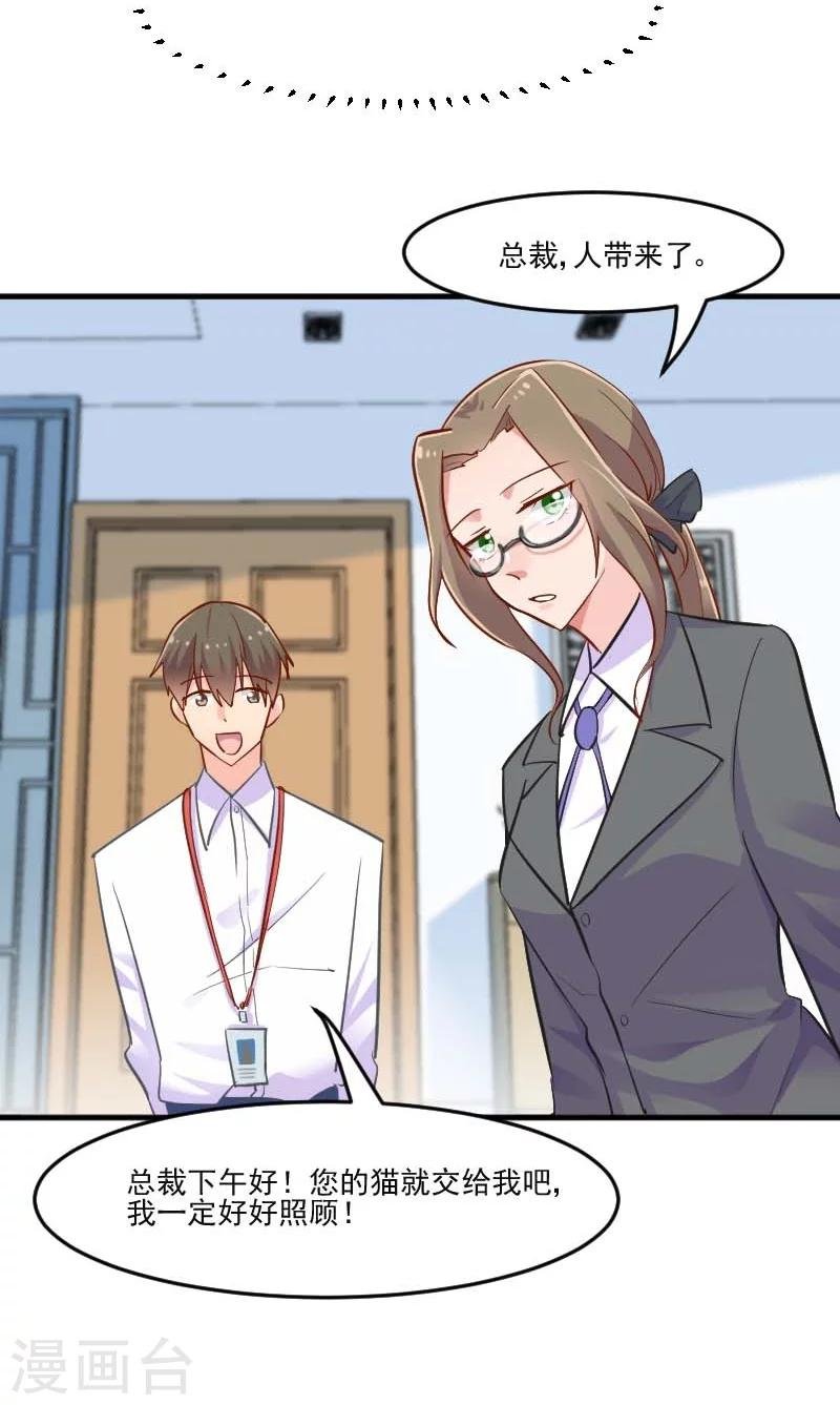 第39话 不许摸我的猫！