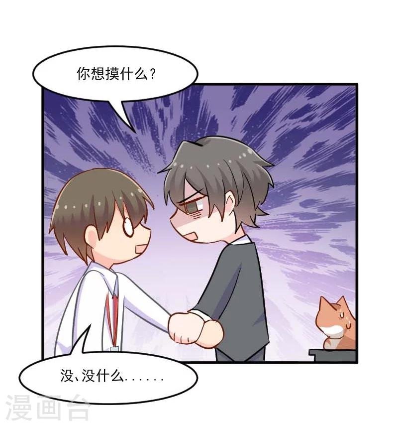第39话 不许摸我的猫！