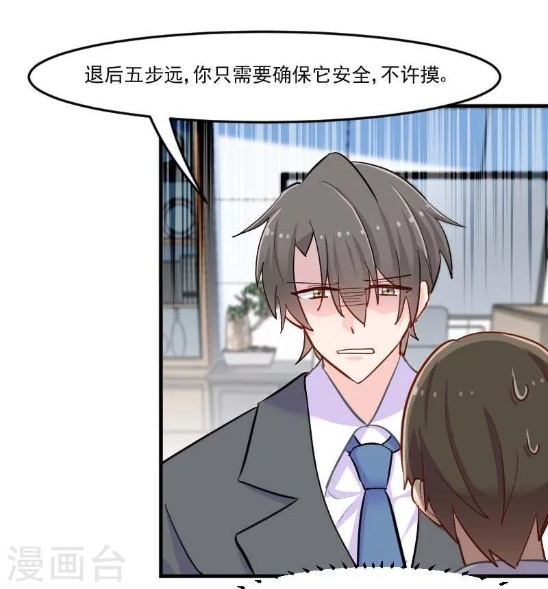 第39话 不许摸我的猫！